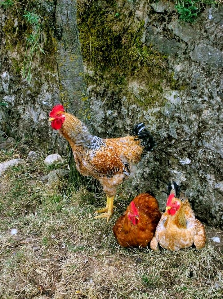 Pradanos del Tozo 01