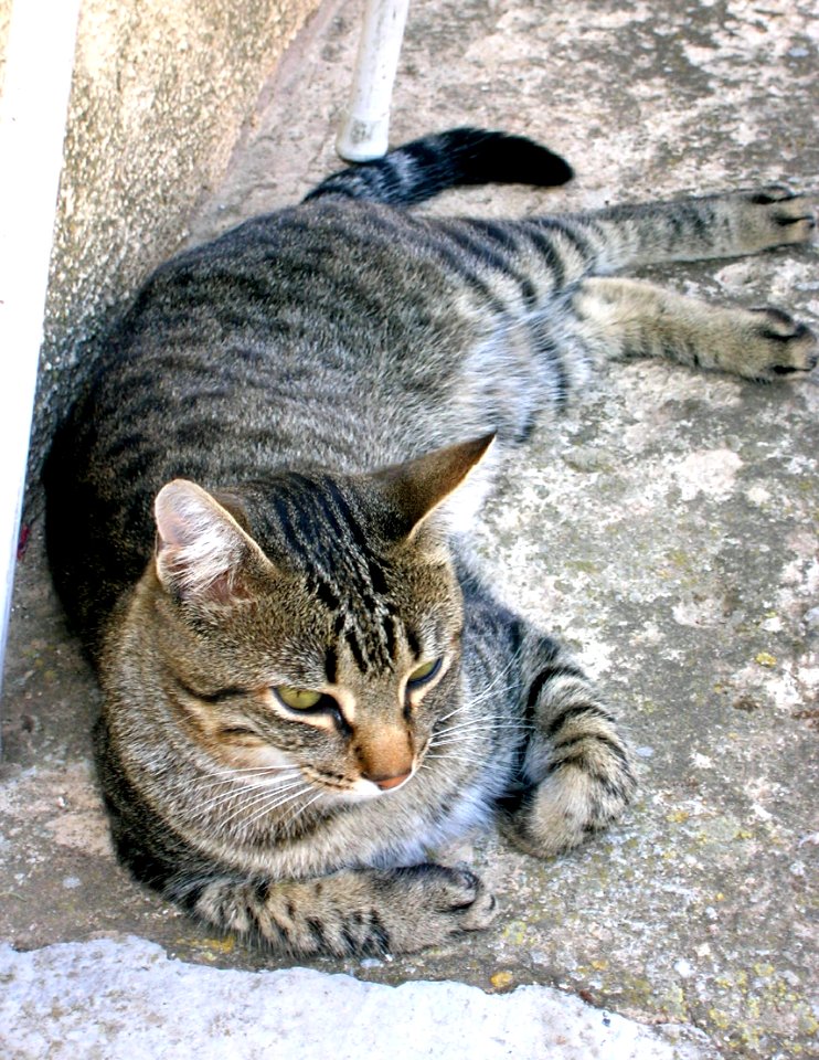 Pradanos del Tozo 02