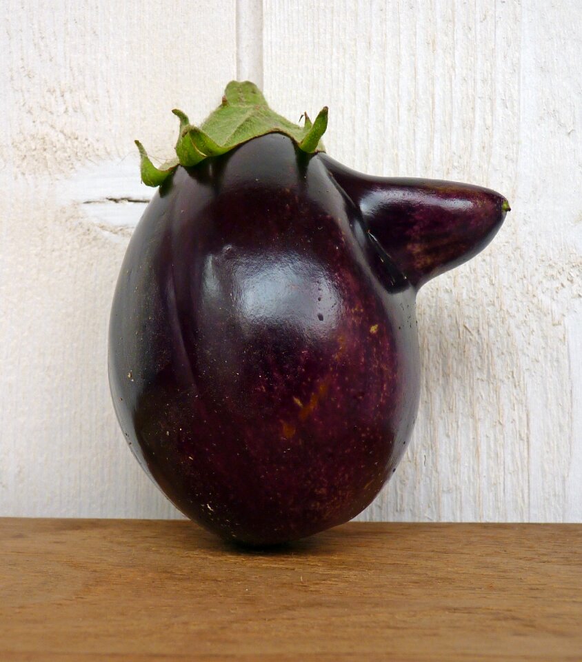 Food harvest bio