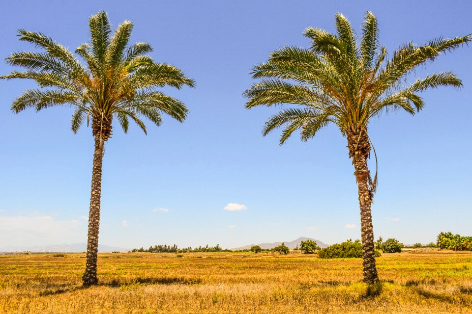 Nature island countryside
