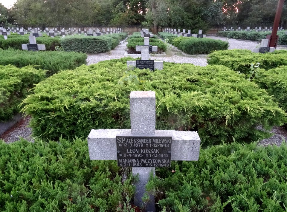Potulice cemetery 6