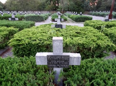 Potulice cemetery 6