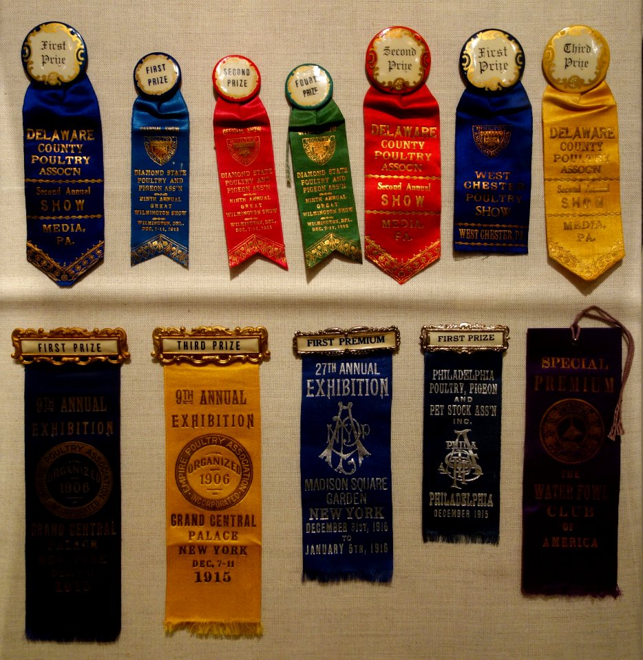Poultry Ribbons - Winterthur Museum - DSC01337