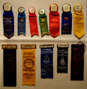 Poultry Ribbons - Winterthur Museum - DSC01337