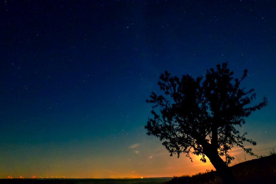Cosmos outdoors night