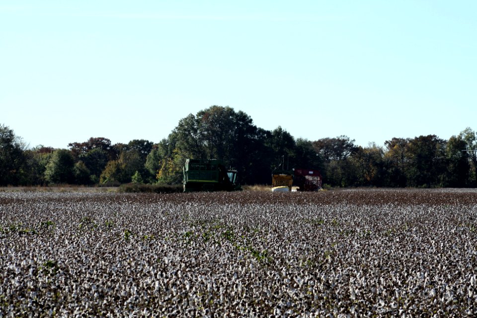 Prairie County, AR 001