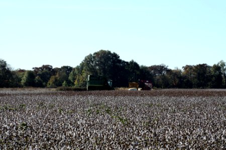 Prairie County, AR 001