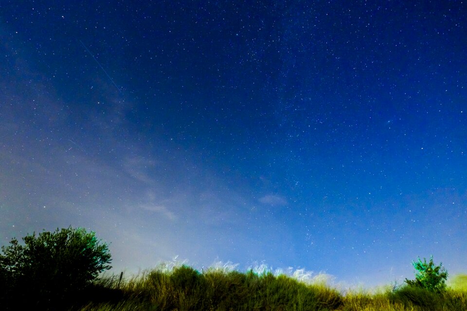 Cosmos outdoors night