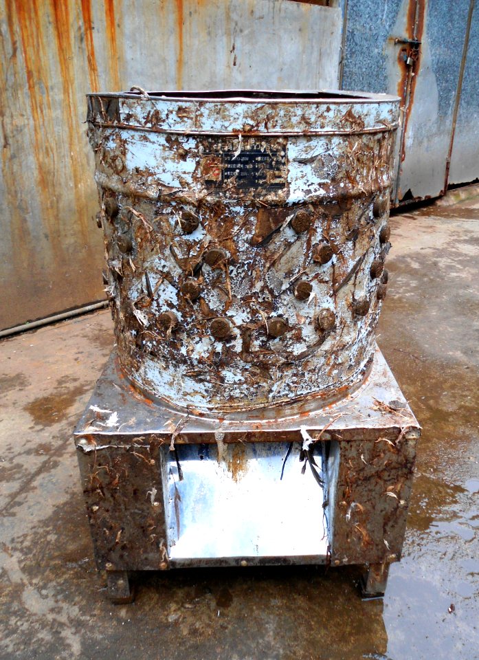 Poultry plucking machine 02