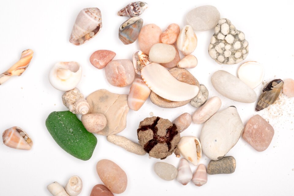 Shell sea ​​sand sea ​​bottom