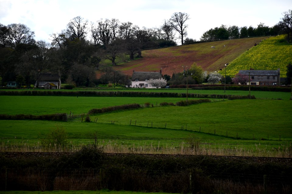 Powderham 2021-04-08 IMG 02