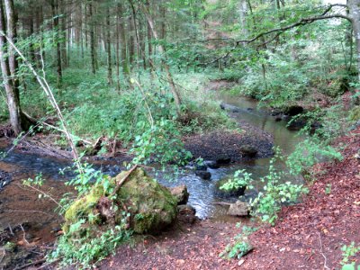 Pottenstein Püttlachtal 01