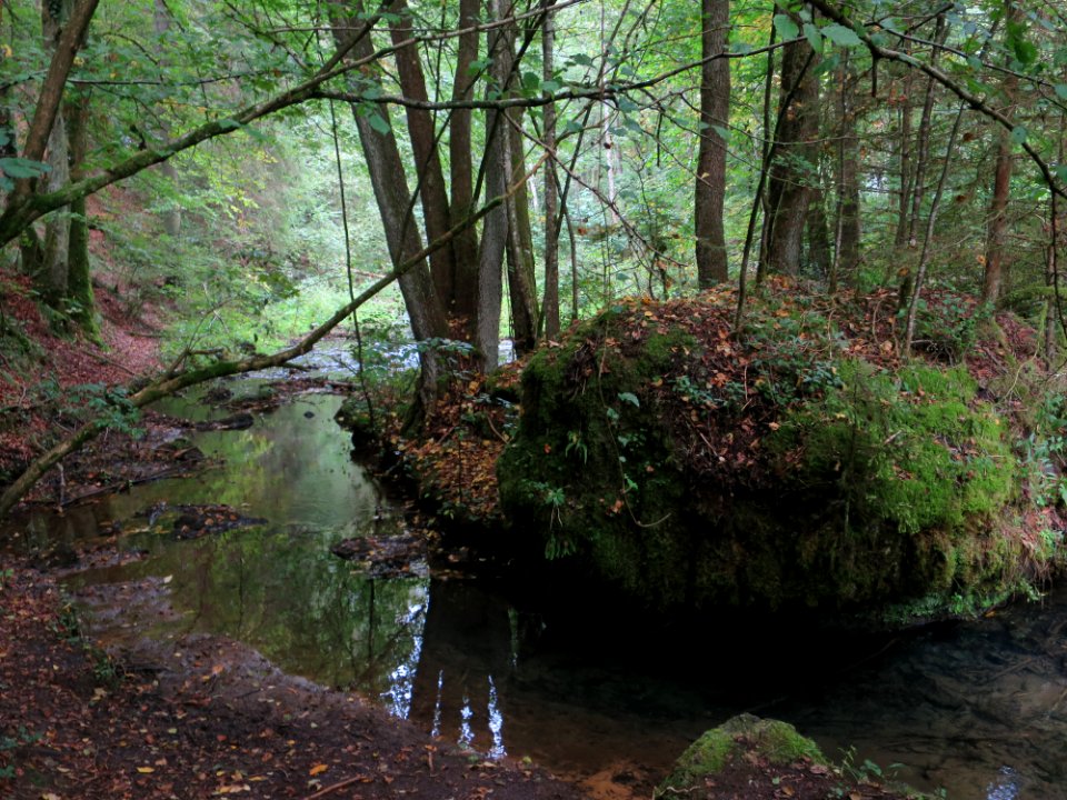 Pottenstein Püttlachtal 05