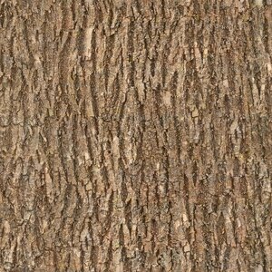 Seamless texture albedo