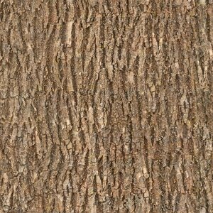 Seamless texture albedo photo