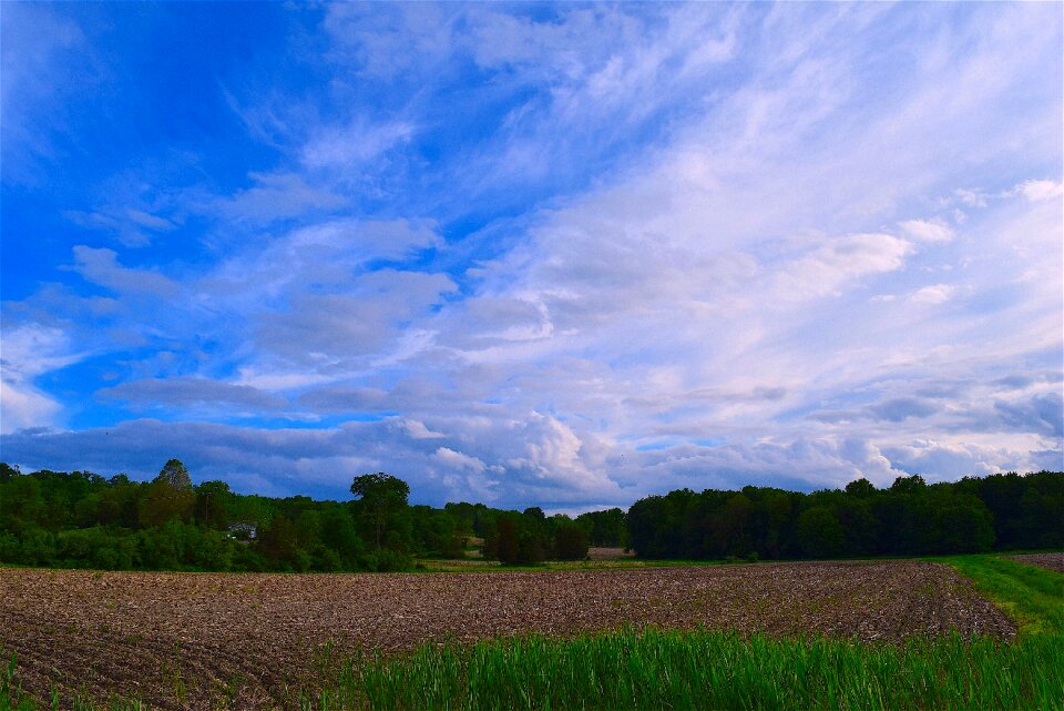Agriculture landscape farm field