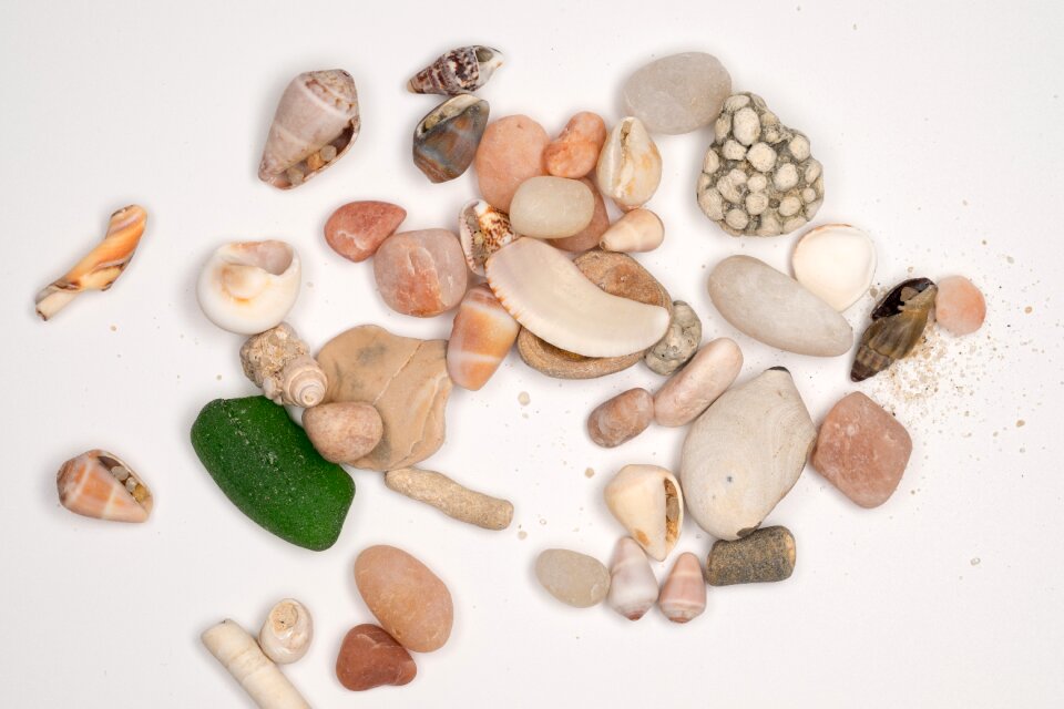 Shell sea ​​sand sea ​​bottom