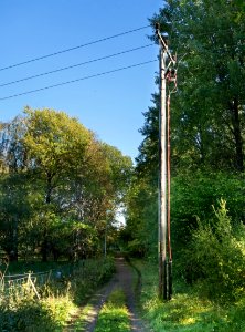 Power lines in Gullmarsskogen photo