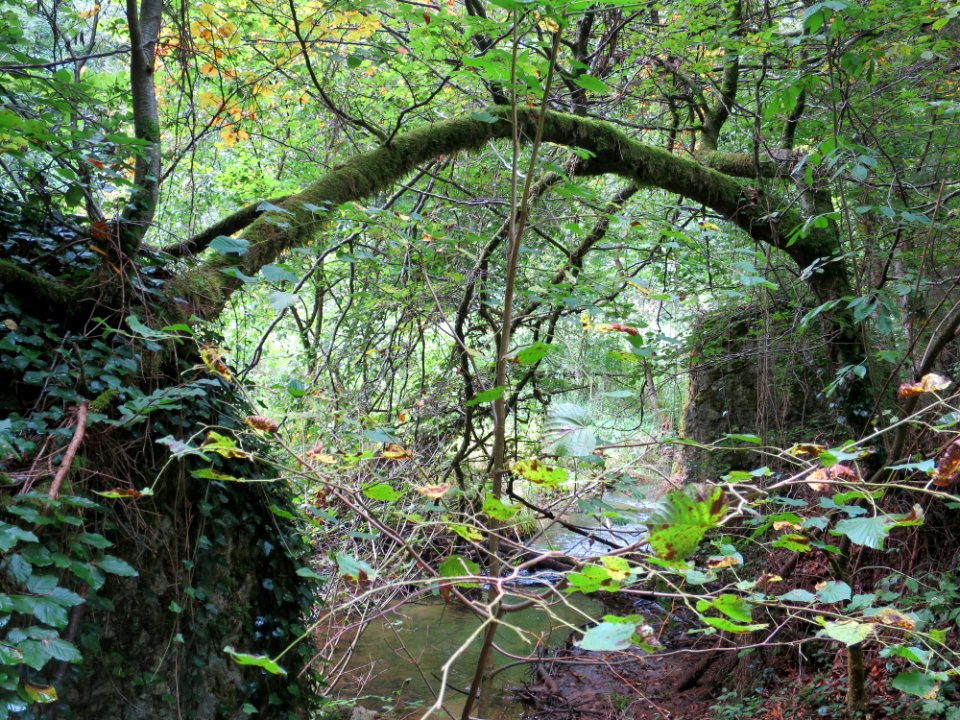Pottenstein Püttlachtal 02