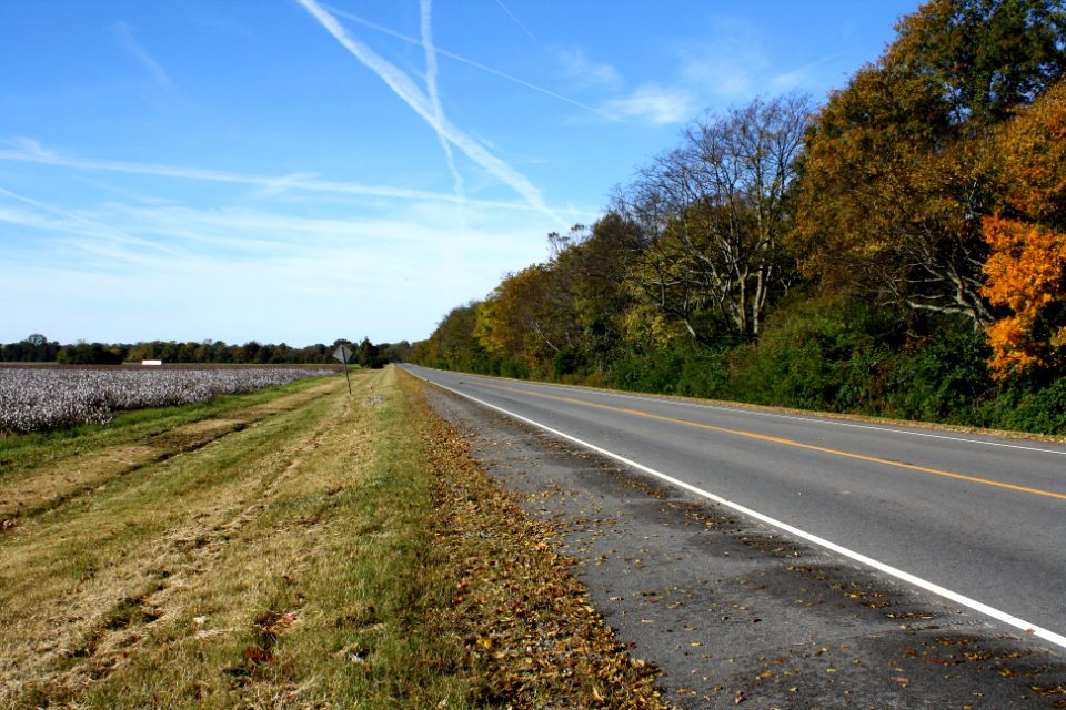 Prairie County, AR 004