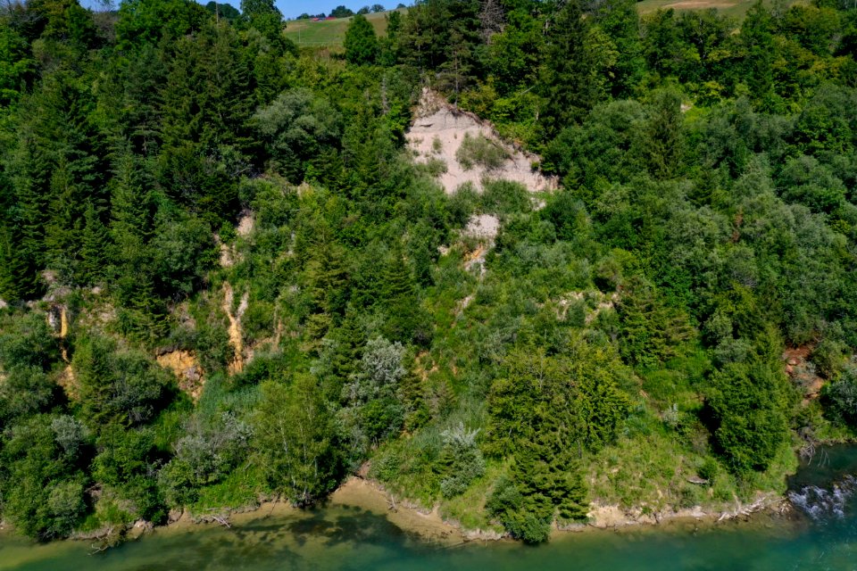 Prallhang des Lechs bei Kinsau