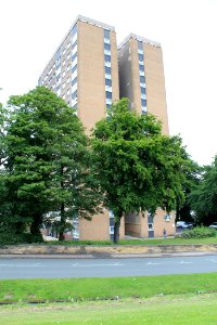 Potternewton Heights 2019-06-18 (2)