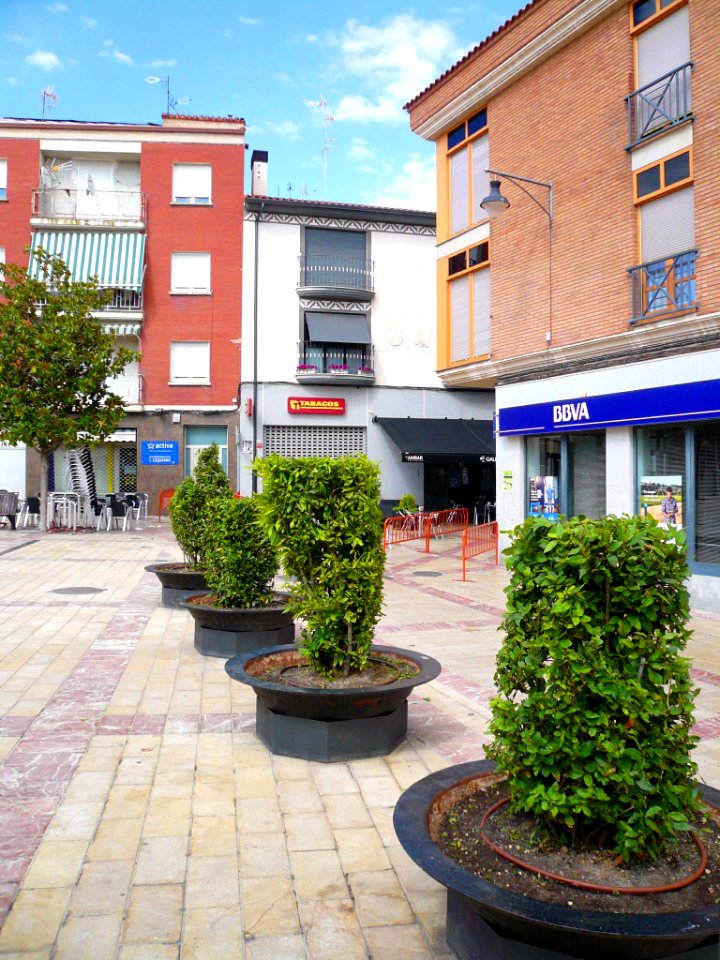 Pradejón - Plaza de la Constitución 4