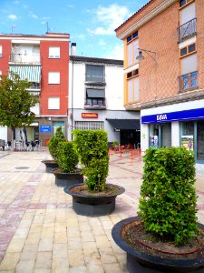 Pradejón - Plaza de la Constitución 4