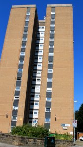 Potternewton Heights 2019-08-26 (1)