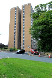 Potternewton Heights 2019-06-18 (4)