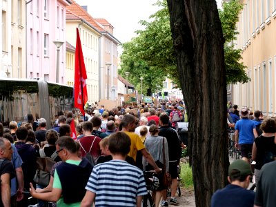 Potsdam for Future demonstration 16-06-2019 18
