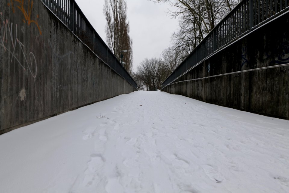 Potsdam Pirschheide with snow 2021-02-07 03