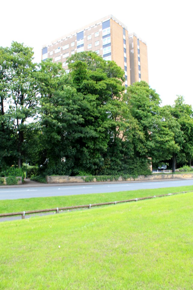 Potternewton Heights 2019-06-18 (1)