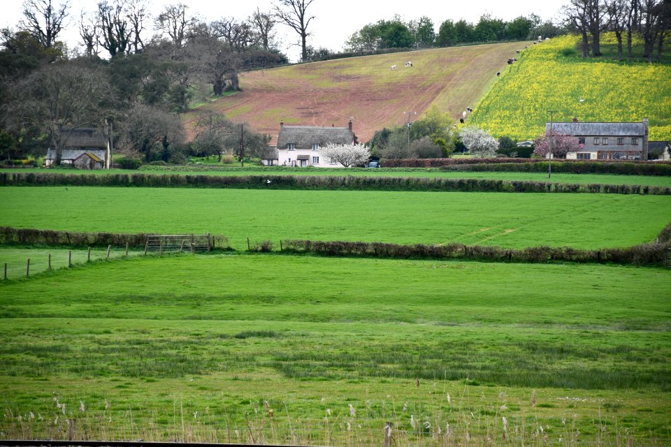 Powderham 2021-04-08 IMG 03