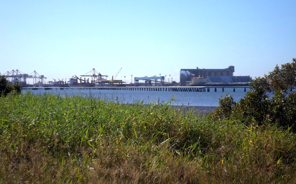 Port of Brisbane seen from Pinkenba