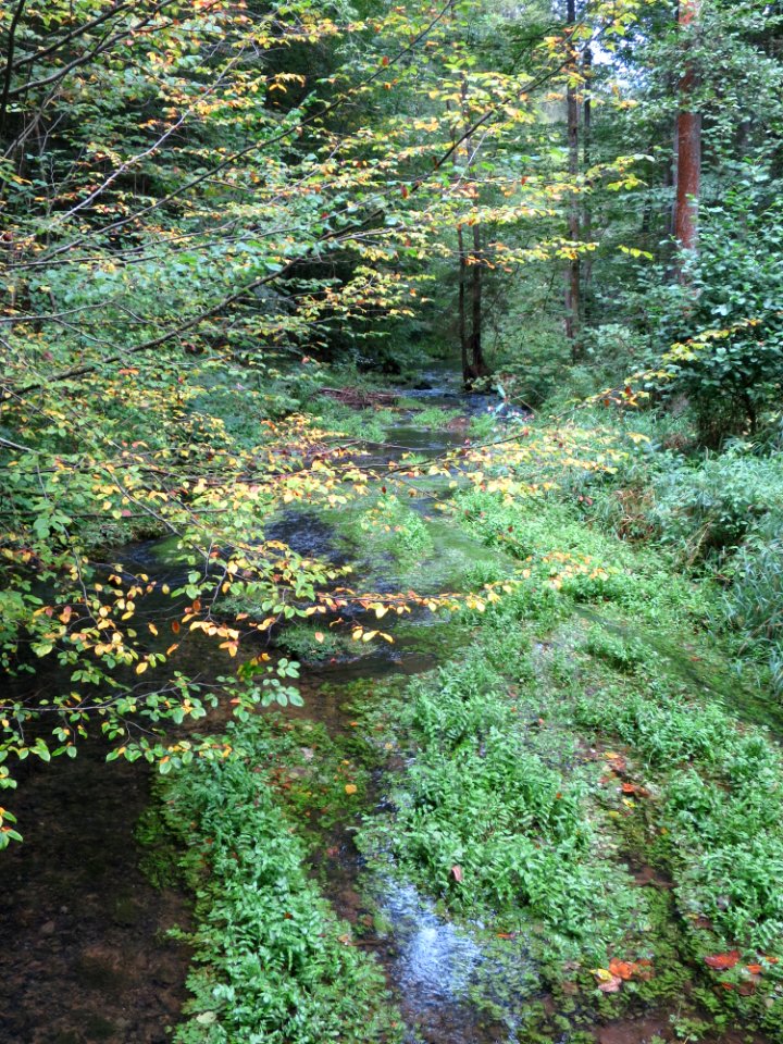 Pottenstein Püttlachtal 03
