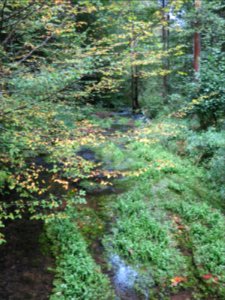 Pottenstein Püttlachtal 03