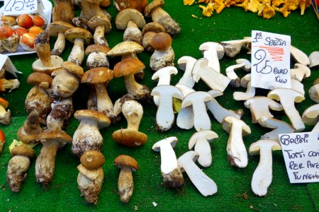 Porcini - Mercato Orientale - Genoa, Italy - DSC02477