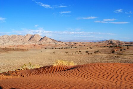 Dune sand earth