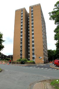 Potternewton Heights 2019-06-18 (3)