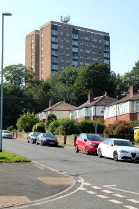 Potternewton Heights 2019-08-26 (2)