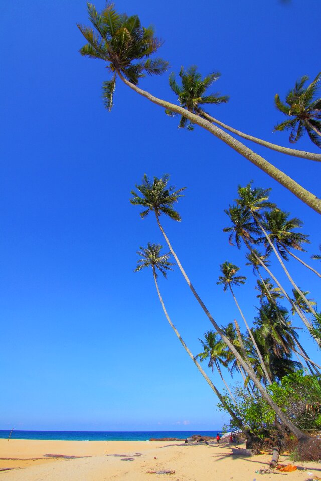 Beach island paradise
