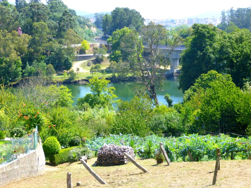 Pontevedra - Espazo Natural da Ribeira do Lérez-Illa das Esculturas 16