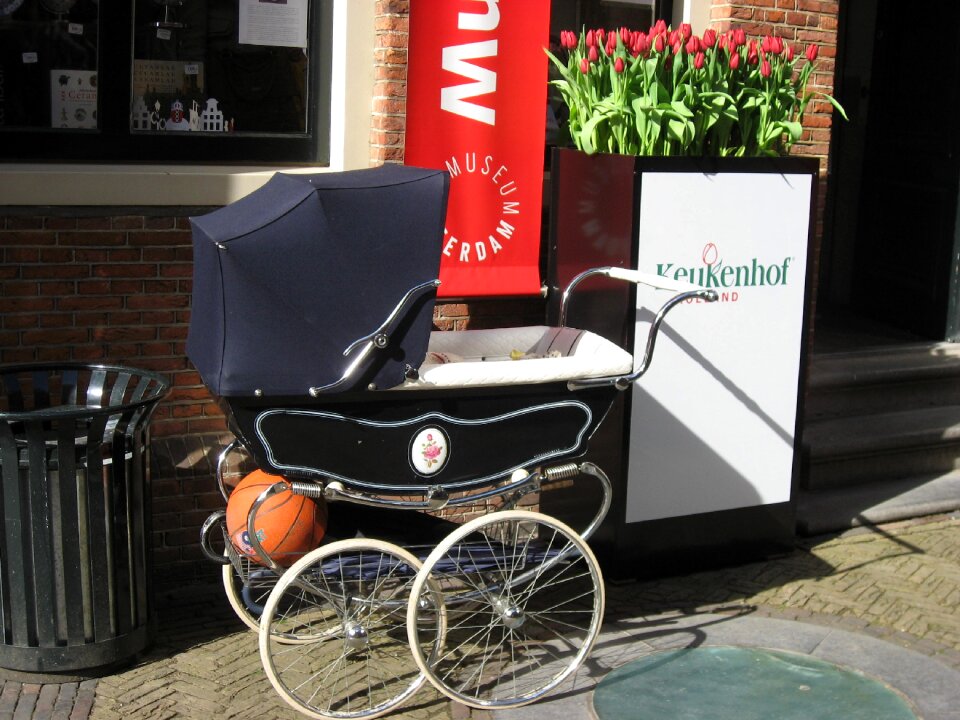 Baby carriage tulips amsterdam