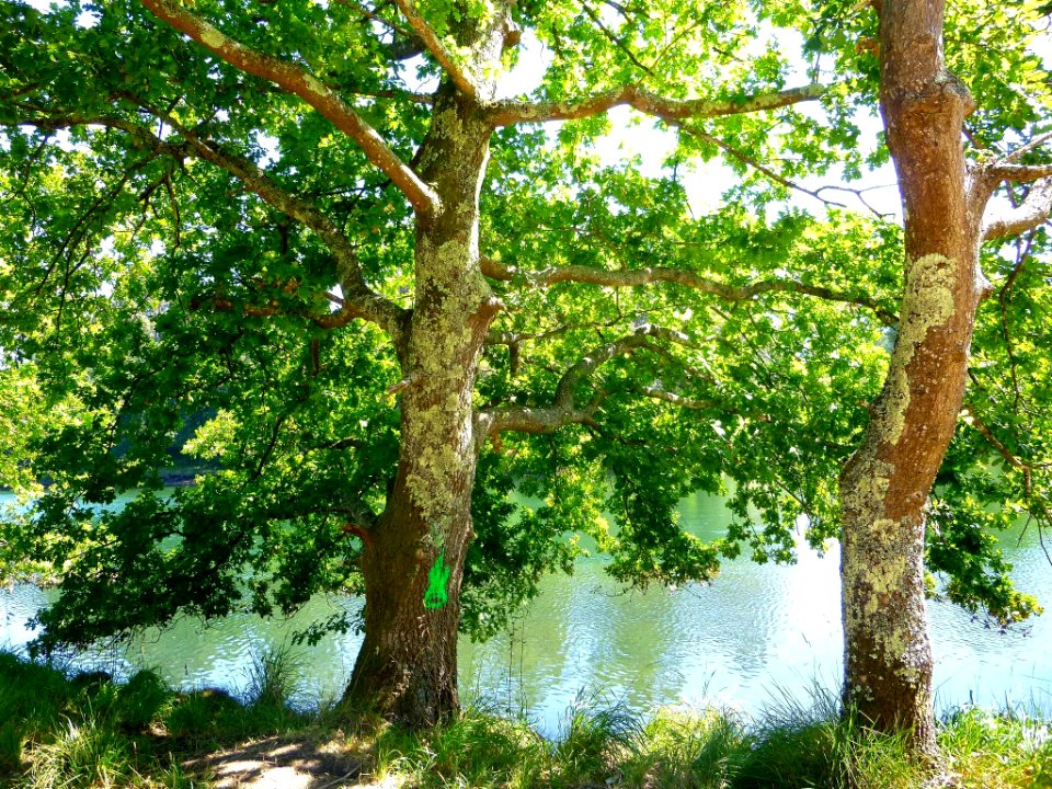 Pontevedra - Espazo Natural da Ribeira do Lérez-Illa das Esculturas 14