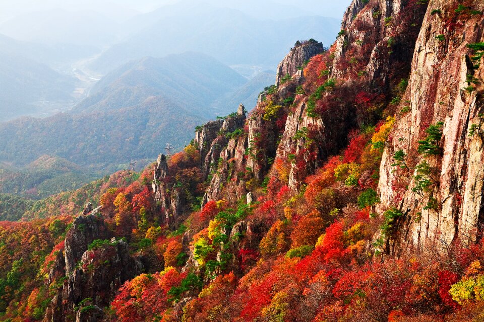 Landscape leaves the leaves
