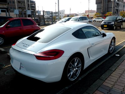 Porsche Cayman (981C) rear