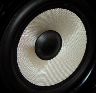 Black bass woofer