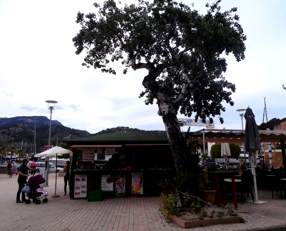 PORT SOLLER-MAJORKA, AB-213