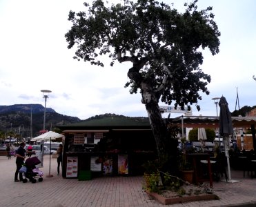PORT SOLLER-MAJORKA, AB-213